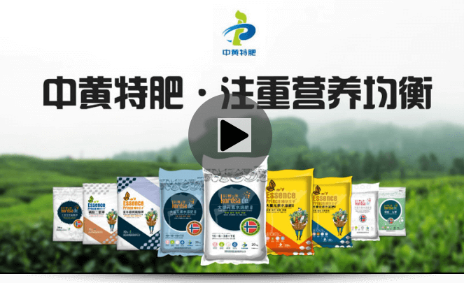 首頁企業(yè)實(shí)力